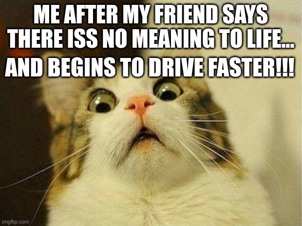 Scared Cat | ME AFTER MY FRIEND SAYS THERE ISS NO MEANING TO LIFE... AND BEGINS TO DRIVE FASTER!!! | image tagged in memes,scared cat | made w/ Imgflip meme maker