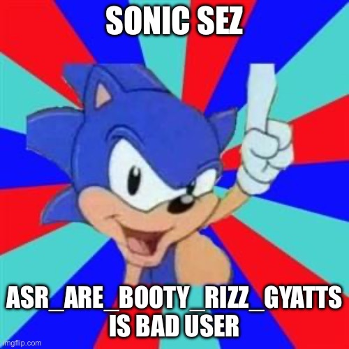 Sonic sez | SONIC SEZ; ASR_ARE_BOOTY_RIZZ_GYATTS IS BAD USER | image tagged in sonic sez | made w/ Imgflip meme maker