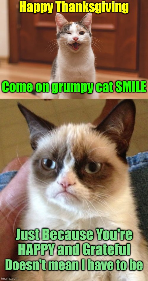 No way | Happy Thanksgiving; Come on grumpy cat SMILE; Just Because You're HAPPY and Grateful; Doesn't mean I have to be | image tagged in memes,grumpy cat,happy thanksgiving | made w/ Imgflip meme maker