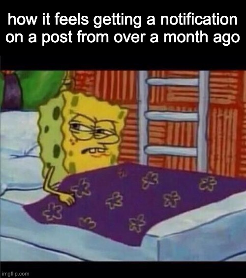 shut thy fuck up | how it feels getting a notification on a post from over a month ago | image tagged in spongebob waking up | made w/ Imgflip meme maker