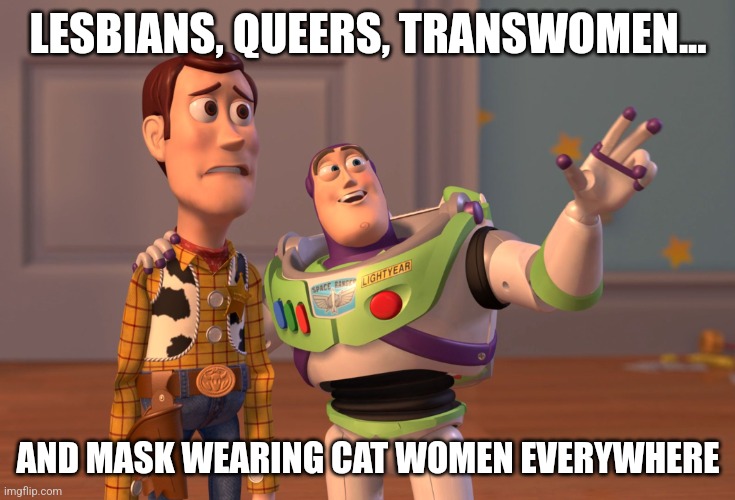 Options are limited | LESBIANS, QUEERS, TRANSWOMEN... AND MASK WEARING CAT WOMEN EVERYWHERE | image tagged in memes,x x everywhere,lesbian,transgender,cat lady | made w/ Imgflip meme maker