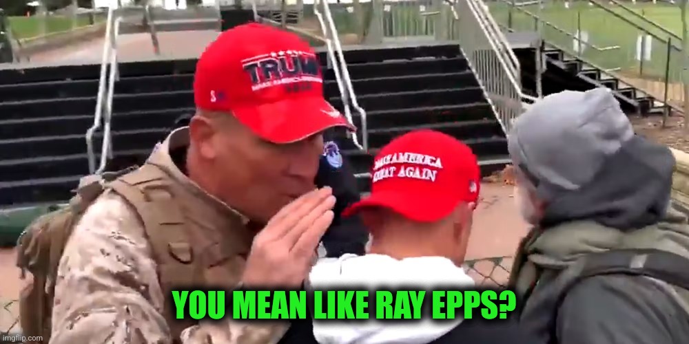 ray epps federal agent | YOU MEAN LIKE RAY EPPS? | image tagged in ray epps federal agent | made w/ Imgflip meme maker