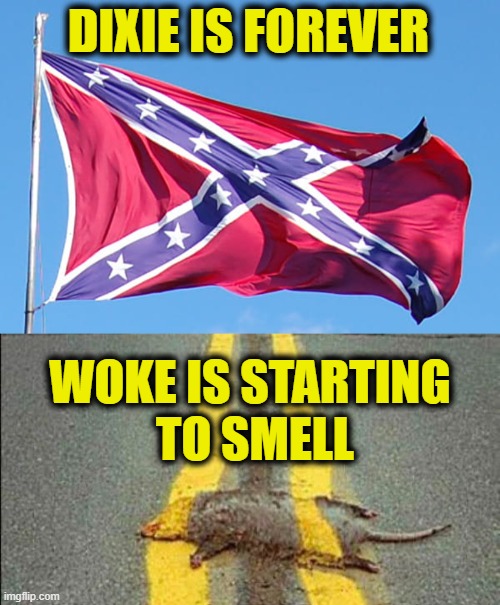 Leftist Death Throes | DIXIE IS FOREVER; WOKE IS STARTING
 TO SMELL | image tagged in leftists | made w/ Imgflip meme maker