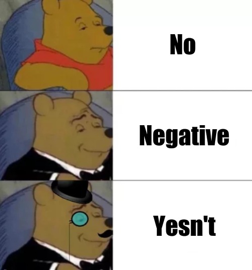 Grammar Time | No; Negative; Yesn't | image tagged in fancy pooh | made w/ Imgflip meme maker