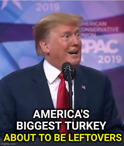 It's all downhill from here. | AMERICA'S BIGGEST TURKEY; ABOUT TO BE LEFTOVERS | image tagged in trump dilated and desperate,trump,thanksgiving,happy thanksgiving,fail,failure | made w/ Imgflip meme maker