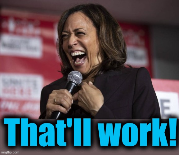 Kamala laughing | That'll work! | image tagged in kamala laughing | made w/ Imgflip meme maker