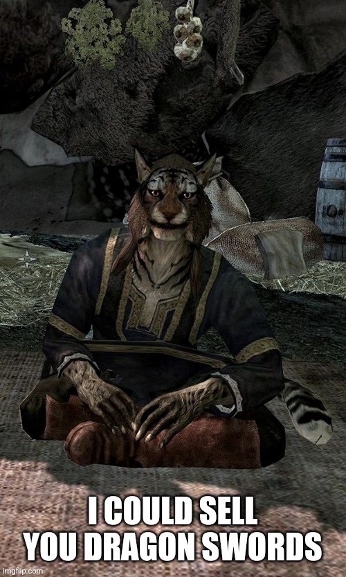 Khajiit | I COULD SELL YOU DRAGON SWORDS | image tagged in khajiit | made w/ Imgflip meme maker