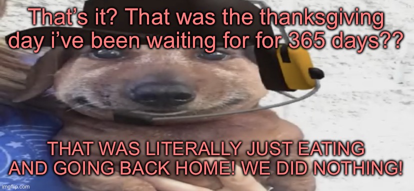 chucklenuts | That’s it? That was the thanksgiving day i’ve been waiting for for 365 days?? THAT WAS LITERALLY JUST EATING AND GOING BACK HOME! WE DID NOTHING! | image tagged in chucklenuts | made w/ Imgflip meme maker