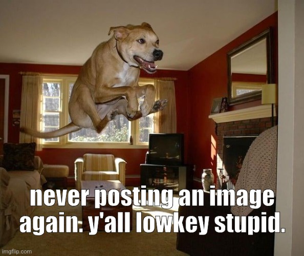 raditude full | never posting an image again. y'all lowkey stupid. | image tagged in raditude full | made w/ Imgflip meme maker