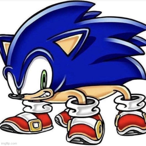 If i see bella i will fucking murder her | image tagged in 4 legged sonic | made w/ Imgflip meme maker