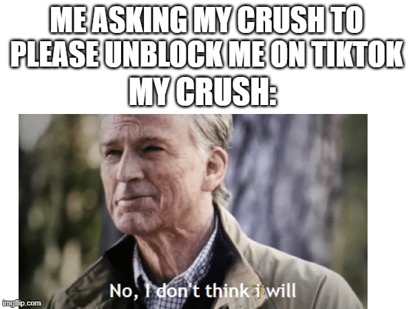 pls subscribe to xxmemegamerxx for a cookie | ME ASKING MY CRUSH TO PLEASE UNBLOCK ME ON TIKTOK; MY CRUSH: | image tagged in memes | made w/ Imgflip meme maker