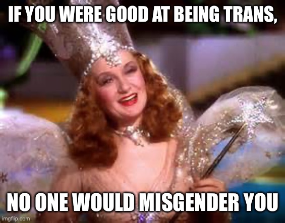 Truth doesn’t care about your feelings | IF YOU WERE GOOD AT BEING TRANS, NO ONE WOULD MISGENDER YOU | image tagged in glenda witch,transgender | made w/ Imgflip meme maker