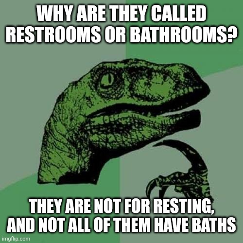 Philosoraptor | WHY ARE THEY CALLED RESTROOMS OR BATHROOMS? THEY ARE NOT FOR RESTING, AND NOT ALL OF THEM HAVE BATHS | image tagged in memes,philosoraptor | made w/ Imgflip meme maker