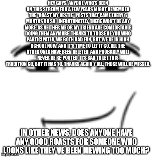 End of an era guys ? | HEY GUYS, ANYONE WHO’S BEEN ON THIS STREAM FOR A FEW YEARS MIGHT REMEMBER THE “ROAST MY BESTIE” POSTS THAT CAME EVERY 6 MONTHS OR SO. UNFORTUNATELY, THERE WON’T BE ANY MORE, AS NEITHER ME OR MY FRIEND ARE COMFORTABLE DOING THEM ANYMORE. THANKS TO THOSE OF YOU WHO PARTICIPATED, WE BOTH HAD FUN, BUT WE’RE IN HIGH SCHOOL NOW, AND IT’S TIME TO LET IT GO. ALL THE OTHER ONES HAVE BEEN DELETED, AND PROBABLY WILL NEVER BE RE-POSTED. IT’S SAD TO LET THIS TRADITION GO, BUT IT HAS TO. THANKS AGAIN Y’ALL, THOSE WILL BE MISSED. IN OTHER NEWS, DOES ANYONE HAVE ANY GOOD ROASTS FOR SOMEONE WHO LOOKS LIKE THEY’VE BEEN MEWING TOO MUCH? | image tagged in man face | made w/ Imgflip meme maker