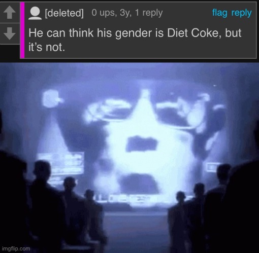 Diet Coke Gender is not real | image tagged in 1984 gif | made w/ Imgflip meme maker