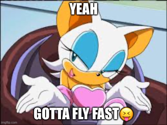 Rouge the Bat | YEAH; GOTTA FLY FAST😝 | image tagged in rouge the bat | made w/ Imgflip meme maker