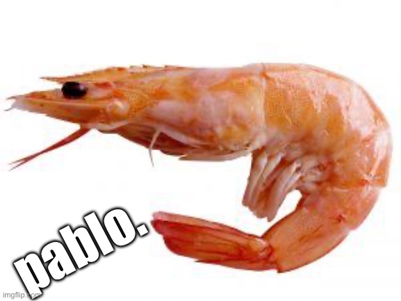 Shrimply | pablo. | image tagged in shrimply | made w/ Imgflip meme maker