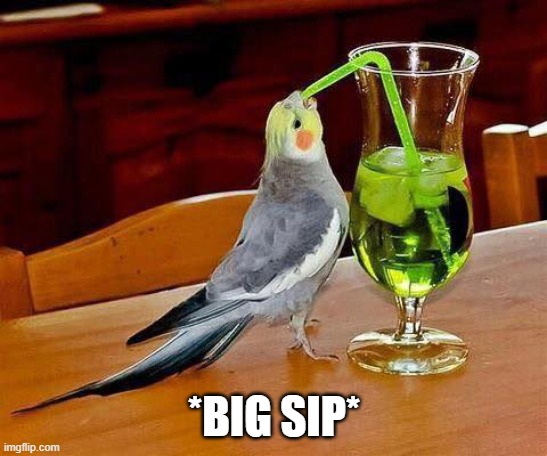 Big Sip | *BIG SIP* | image tagged in big sip | made w/ Imgflip meme maker