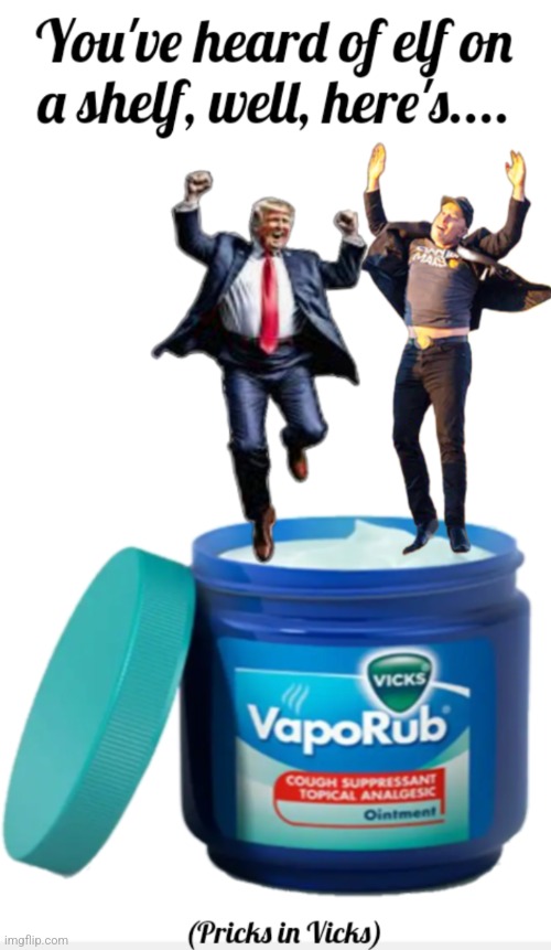 DonOld and Elon, Jumping in a Jar | image tagged in trump,musk,pricjs,vicks | made w/ Imgflip meme maker