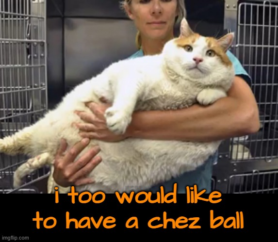 i too would like to have a chez ball | made w/ Imgflip meme maker