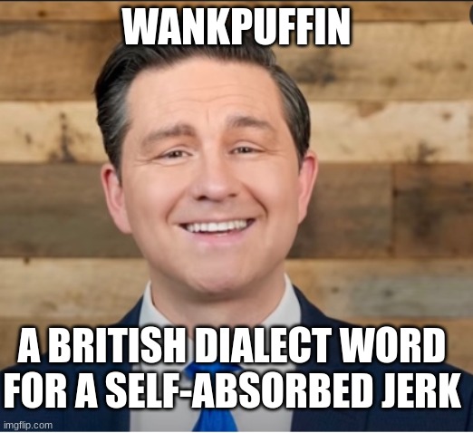 WANKPUFFIN; A BRITISH DIALECT WORD
FOR A SELF-ABSORBED JERK | made w/ Imgflip meme maker