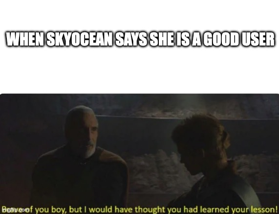 WHEN SKYOCEAN SAYS SHE IS A GOOD USER | image tagged in blank white template,brave of you boy | made w/ Imgflip meme maker