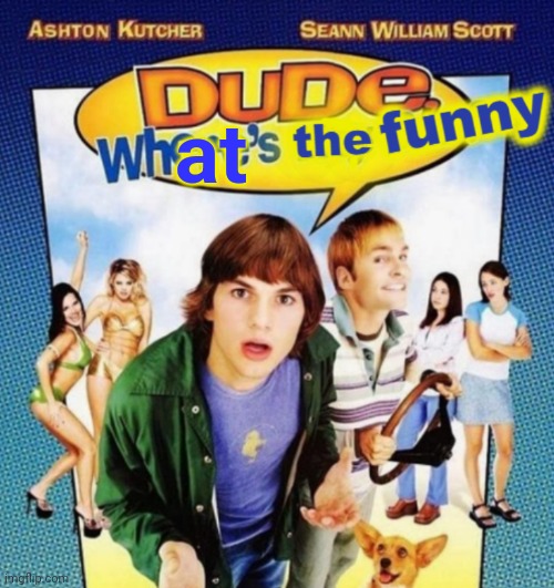 dude where's the funny | at | image tagged in dude where's the funny | made w/ Imgflip meme maker
