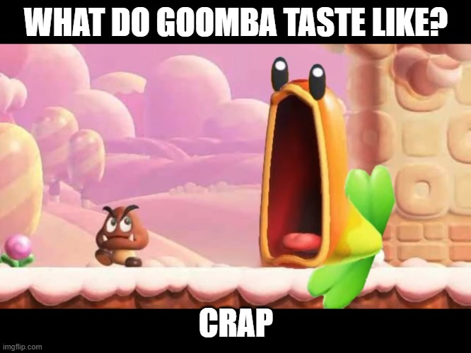 I Wonder What Goombas Taste Like? | WHAT DO GOOMBA TASTE LIKE? CRAP | image tagged in i wonder what goombas taste like | made w/ Imgflip meme maker