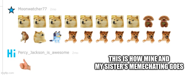 THIS IS HOW MINE AND MY SISTER'S MEMECHATING GOES | image tagged in memechat,sisters | made w/ Imgflip meme maker