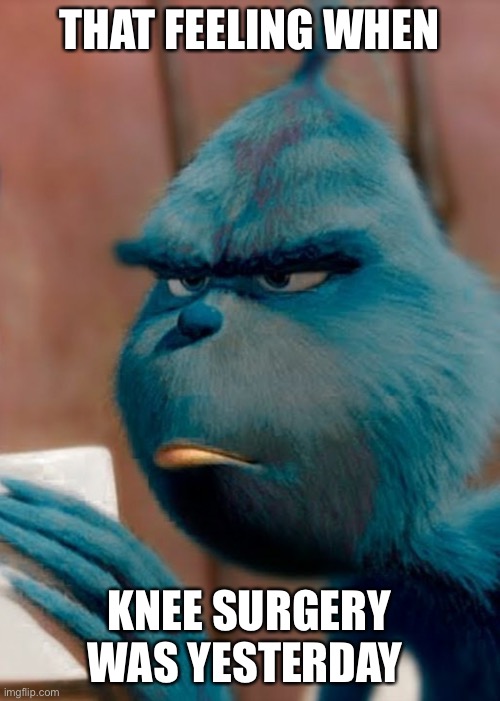 Sad blue grinch | THAT FEELING WHEN; KNEE SURGERY WAS YESTERDAY | image tagged in sad blue grinch | made w/ Imgflip meme maker