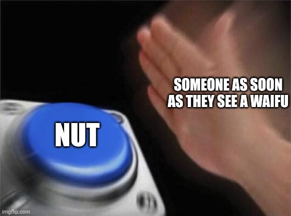 Blank Nut Button | SOMEONE AS SOON AS THEY SEE A WAIFU; NUT | image tagged in memes,blank nut button | made w/ Imgflip meme maker