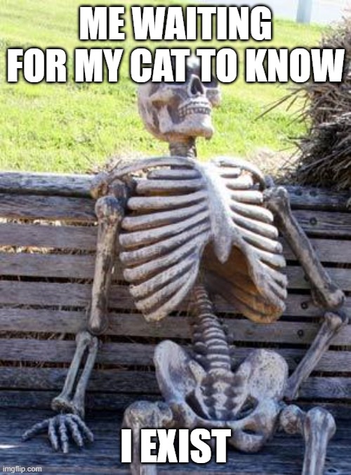 cat | ME WAITING FOR MY CAT TO KNOW; I EXIST | image tagged in memes,waiting skeleton | made w/ Imgflip meme maker