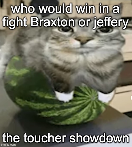 Cat melon | who would win in a fight Braxton or jeffery; the toucher showdown | image tagged in cat melon | made w/ Imgflip meme maker
