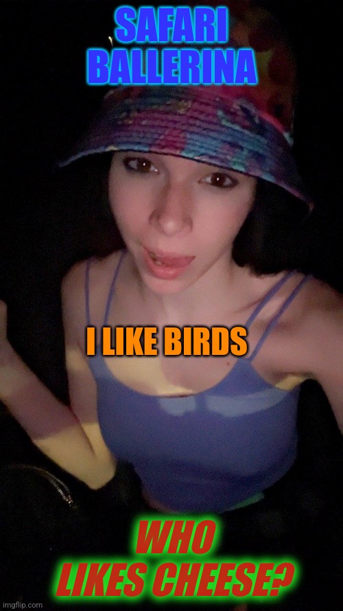 Safari ballerina | SAFARI BALLERINA; I LIKE BIRDS; WHO LIKES CHEESE? | image tagged in funny memes | made w/ Imgflip meme maker