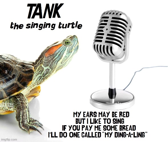 Open Mike Night at the Aquarium | image tagged in vince vance,singing,turtles,microphone,memes,aquarium | made w/ Imgflip meme maker