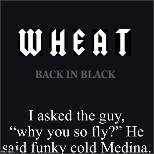 Wheatleys back in black | I asked the guy, “why you so fly?” He said funky cold Medina. | image tagged in wheatleys back in black | made w/ Imgflip meme maker