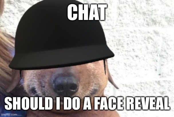 Engie did it so why not | CHAT; SHOULD I DO A FACE REVEAL | image tagged in maggot | made w/ Imgflip meme maker