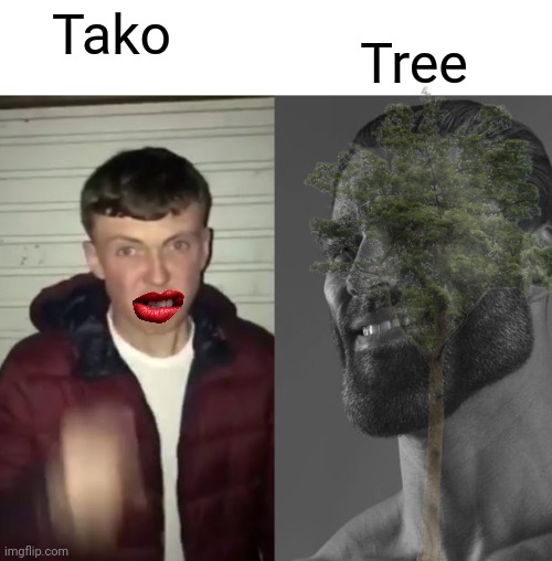 Average Fan vs Average Enjoyer | Tree; Tako | image tagged in average fan vs average enjoyer | made w/ Imgflip meme maker