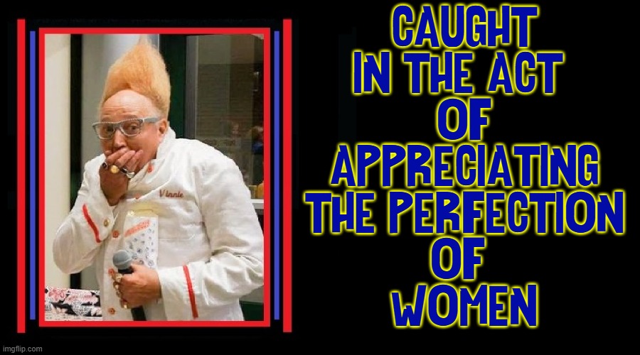 Men are dumbfounded by a Woman's Beauty | CAUGHT
IN THE ACT 
OF
APPRECIATING
THE PERFECTION
OF 
WOMEN | image tagged in vince vance,girls,perfection,women,memes,men vs women | made w/ Imgflip meme maker