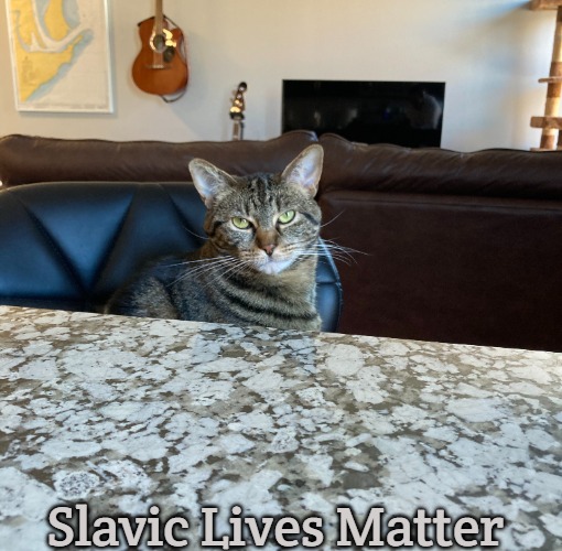 First World Cat | Slavic Lives Matter | image tagged in first world cat,slavic | made w/ Imgflip meme maker