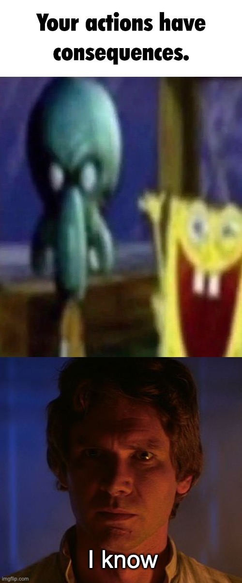 I know | image tagged in your actions have consequences,han solo i know | made w/ Imgflip meme maker