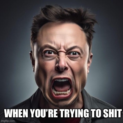 Me right now.. | WHEN YOU’RE TRYING TO SHIT | image tagged in elon musk,shit,funny,relatable,lol,toliet | made w/ Imgflip meme maker