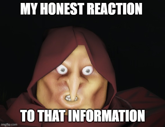 my honest reaction to that information | MY HONEST REACTION; TO THAT INFORMATION | image tagged in my honest reaction | made w/ Imgflip meme maker