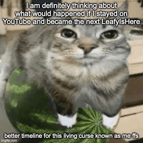 Cat on melon | I am definitely thinking about what would happened if I stayed on YouTube and became the next LeafyIsHere; better timeline for this living curse known as me ffs | image tagged in cat on melon | made w/ Imgflip meme maker