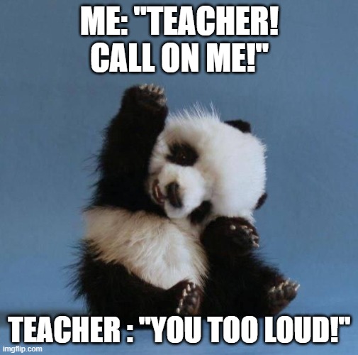 Panda | ME: "TEACHER! CALL ON ME!"; TEACHER : "YOU TOO LOUD!" | image tagged in panda | made w/ Imgflip meme maker