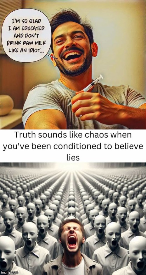 Truth sounds like chaos when you believe lies | image tagged in truth,lies | made w/ Imgflip meme maker