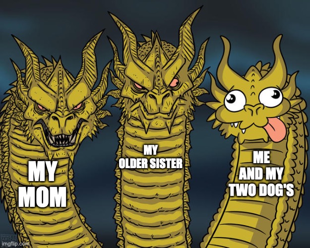 Three-headed Dragon | MY OLDER SISTER; ME AND MY TWO DOG'S; MY MOM | image tagged in three-headed dragon | made w/ Imgflip meme maker