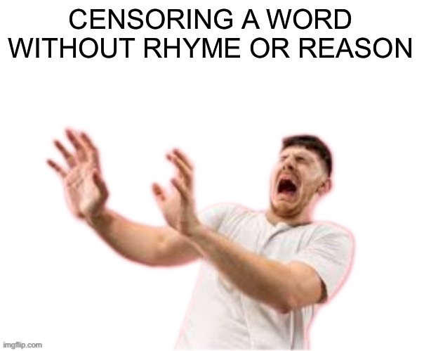 he left all caps on(custom) | CENSORING A WORD WITHOUT RHYME OR REASON | image tagged in he left all caps on custom | made w/ Imgflip meme maker