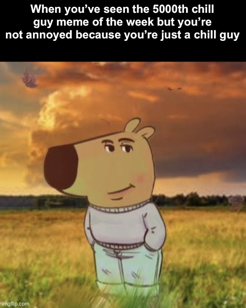 This meme is a lie | When you’ve seen the 5000th chill guy meme of the week but you’re not annoyed because you’re just a chill guy | image tagged in chill guy | made w/ Imgflip meme maker