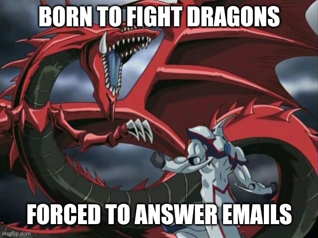 BORN TO FIGHT DRAGONS; FORCED TO ANSWER EMAILS | made w/ Imgflip meme maker